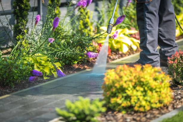 Best Boat and Dock Cleaning  in Greenwood, MO